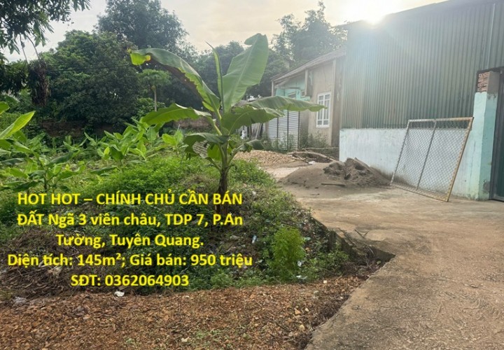 HOT HOT – CHÍNH CHỦ CẦN BÁN ĐẤT Ngã 3 viên châu, TDP 7, P.An Tường, Tuyên Quang