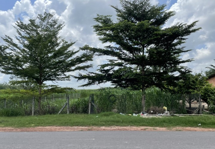 CHÍNH CHỦ Cần Bán Gấp Đất Tại ấp An Thọ, xã An Cơ, huyện Châu Thành, tỉnh Tây Ninh