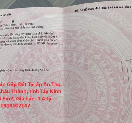 CHÍNH CHỦ Cần Bán Gấp Đất Tại ấp An Thọ, xã An Cơ, huyện Châu Thành, tỉnh Tây Ninh