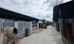 ĐẤT ĐẸP – GIÁ TỐT- CHÍNH CHỦ CẦN BÁN ĐẤT Tại Ấp Phước Hội A, xã Phước Thạnh, huyện Gò Dầu, Tây Ninh