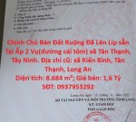 ĐẦU TƯ SINH LỜI - Chính Chủ Bán Đất Ruộng Đã Lên Líp sẵn Tại Ấp 2 Vụ(đường cái tôm) xã Tân Thạnh, Tây Ninh