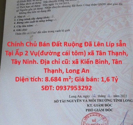 ĐẦU TƯ SINH LỜI - Chính Chủ Bán Đất Ruộng Đã Lên Líp sẵn Tại Ấp 2 Vụ(đường cái tôm) xã Tân Thạnh, Tây Ninh