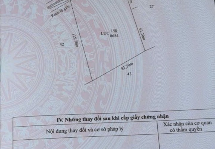 ĐẦU TƯ SINH LỜI - Chính Chủ Bán Đất Ruộng Đã Lên Líp sẵn Tại Ấp 2 Vụ(đường cái tôm) xã Tân Thạnh, Tây Ninh