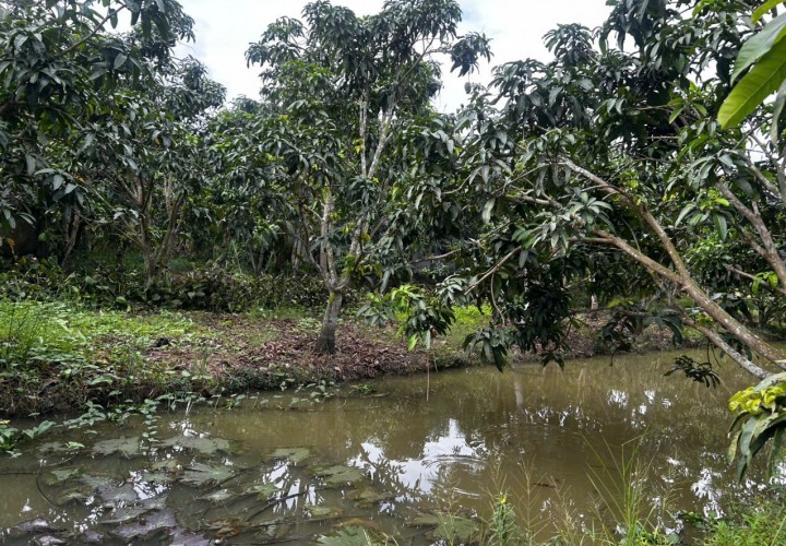 ĐẦU TƯ SINH LỜI – CHÍNH CHỦ CẦN BÁN ĐẤT Tại  xã Đông Hiệp, huyện Cờ Đỏ, tp Cần Thơ