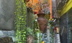 HOT HOT – CHÍNH CHỦ CẦN BÁN CĂN NHÀ TẠI P. 16, Q. 11, Thành phố Hồ Chí Minh.