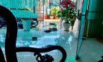 HOT HOT – CHÍNH CHỦ CẦN BÁN NHÀ TẠI Đường Lương Định Của, phường Hội Phú, TP. Pleiku, Gia Lai