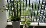 Bán Căn Hộ Chính Chủ View Hồ Cực Đẹp Tại N01-T5 Ngoại Giao Đoàn, Xuân Tảo, Bắc Từ Liêm, Hà Nội