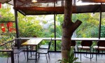 ĐẤT ĐẸP - GIÁ TỐT - CHÍNH CHỦ CẦN BÁN NHANH Lô đất Phường 1, Bảo Lộc, Lâm Đồng - VỊ TRÍ SIÊU ĐẸP