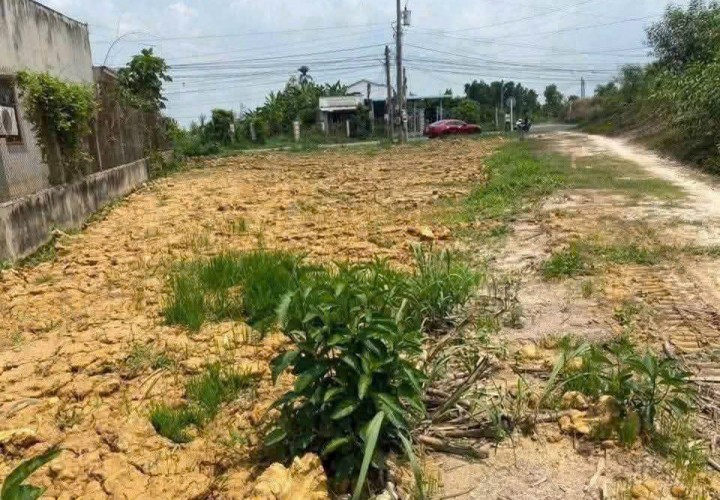 HOT –CẦN BÁN ĐẤT LÔ GÓC 2 Mặt tiền Đ.Bàu Công, Ấp Lập Điền, Tân Mỹ, Đức Hòa, Long An(Tây Ninh Mới)