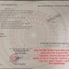HOT HOT – CHÍNH CHỦ CẦN BÁN 2 LÔ ĐẤT TẠI TX. PHÚ THỌ VÀ H. THANH BA, tỉnh Phú Thọ.