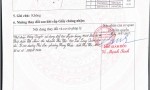 HOT HOT – CHÍNH CHỦ CẦN BÁN 2 LÔ ĐẤT TẠI TX. PHÚ THỌ VÀ H. THANH BA, tỉnh Phú Thọ.