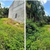 HOT HOT – CHÍNH CHỦ CẦN BÁN ĐẤT THỔ CƯ TẠI Đường Ngô Sỹ Liên, TT. Võ Xu, Đức Linh, Bình Thuận.