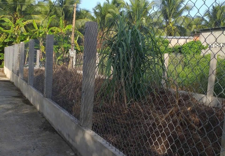 VỊ TRÍ ĐẸP - GIÁ TỐT - CHÍNH CHỦ BÁN ĐẤT THỔ CƯ Đường Nguyễn Thị Định, Phường Phú Khương, TP Bến Tre