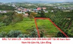 ĐẦU TƯ SINH LỜI – CHÍNH CHỦ CẦN BÁN ĐẤT TẠI Xã Nam Ban- Nam Hà-Lâm Hà, Lâm đồng