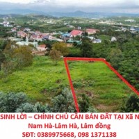 ĐẦU TƯ SINH LỜI – CHÍNH CHỦ CẦN BÁN ĐẤT TẠI Xã Nam Ban- Nam Hà-Lâm Hà, Lâm đồng