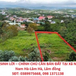 ĐẦU TƯ SINH LỜI – CHÍNH CHỦ CẦN BÁN ĐẤT TẠI Xã Nam Ban- Nam Hà-Lâm Hà, Lâm đồng