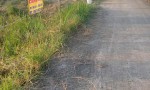 HOT HOT – CHÍNH CHỦ CẦN BÁN ĐẤT VỊ TRÍ ĐẸP  TẠI Xã Mỹ Thạnh Đông, Đức Huệ, Long An