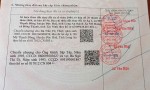 HOT HOT – CHÍNH CHỦ CẦN BÁN ĐẤT VỊ TRÍ ĐẸP  TẠI Xã Mỹ Thạnh Đông, Đức Huệ, Long An