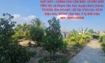 HOT HOT – CHÍNH CHỦ CẦN BÁN  LÔ ĐẤT MẶT TIỀN TẠI  xã Phạm Văn Hai, huyện Bình Chánh, TP.HCM