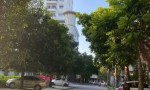 ĐẦU TƯ SINH LỜI – CHÍNH CHỦ CẦN BÁN NHÀ Tại Phường Đông Hương, TP Thanh Hóa, tỉnh Thanh Hóa