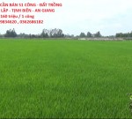 ĐẤT ĐẸP - GIÁ TỐT CẦN BÁN 51 CÔNG - ĐẤT TRỒNG LÚA 2 VỤ...TÂN LẬP - TỊNH BIÊN - AN GIANG