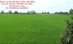 ĐẤT ĐẸP - GIÁ TỐT CẦN BÁN 51 CÔNG - ĐẤT TRỒNG LÚA 2 VỤ...TÂN LẬP - TỊNH BIÊN - AN GIANG