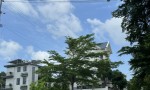 ĐẦU TƯ SINH LỜI – CHÍNH CHỦ CẦN BÁN ĐẤT TẠI Phường 11, TP Vũng Tàu,  Bà Rịa - Vũng Tàu