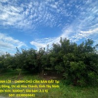 ĐẦU TƯ SINH LỜI – CHÍNH CHỦ CẦN BÁN ĐẤT Tại  Xã Trường Đông, thị xã Hòa Thành, tỉnh Tây Ninh