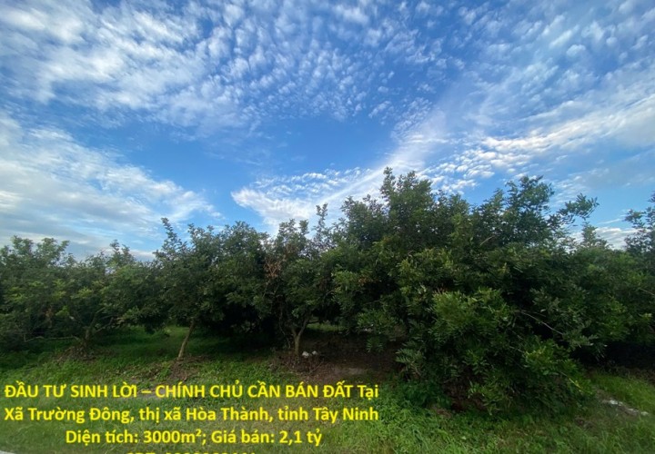 ĐẦU TƯ SINH LỜI – CHÍNH CHỦ CẦN BÁN ĐẤT Tại  Xã Trường Đông, thị xã Hòa Thành, tỉnh Tây Ninh