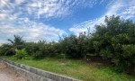 ĐẦU TƯ SINH LỜI – CHÍNH CHỦ CẦN BÁN ĐẤT Tại  Xã Trường Đông, thị xã Hòa Thành, tỉnh Tây Ninh