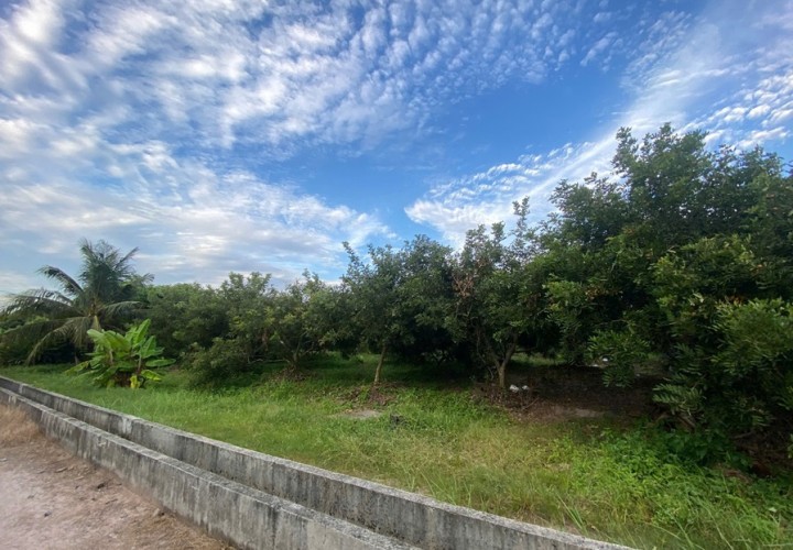 ĐẦU TƯ SINH LỜI – CHÍNH CHỦ CẦN BÁN ĐẤT Tại  Xã Trường Đông, thị xã Hòa Thành, tỉnh Tây Ninh