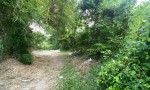 ĐẦU TƯ SINH LỜI – CHÍNH CHỦ CẦN BÁN ĐẤT Tại  Xã Trường Đông, thị xã Hòa Thành, tỉnh Tây Ninh