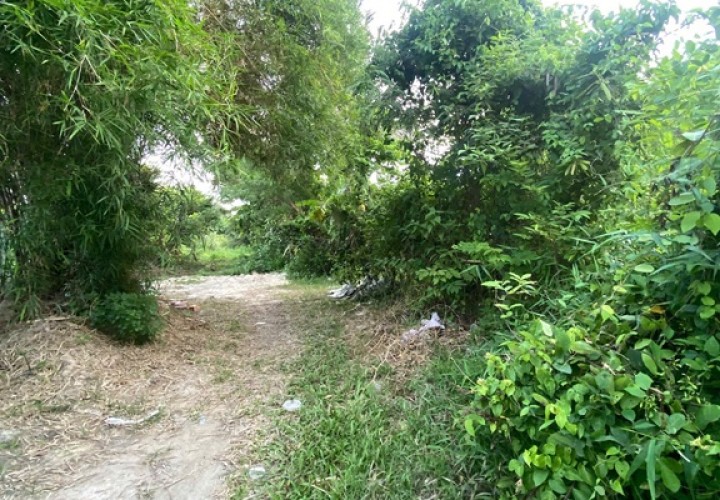 ĐẦU TƯ SINH LỜI – CHÍNH CHỦ CẦN BÁN ĐẤT Tại  Xã Trường Đông, thị xã Hòa Thành, tỉnh Tây Ninh