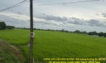 CHÍNH CHỦ CẦN BÁN NHANH  Đất ruộng Tân Nhuận Đông Châu Thành Đồng Tháp