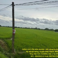 CHÍNH CHỦ CẦN BÁN NHANH  Đất ruộng Tân Nhuận Đông Châu Thành Đồng Tháp