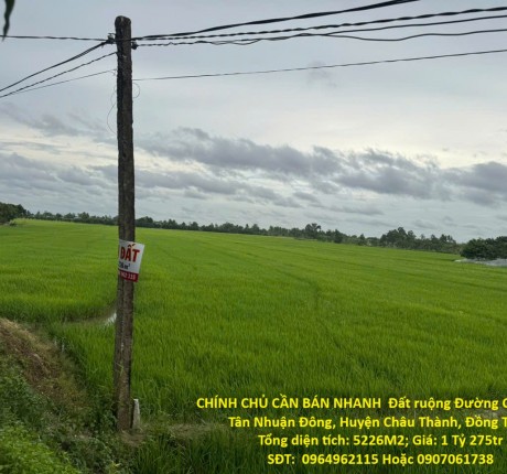 CHÍNH CHỦ CẦN BÁN NHANH Đất ruộng Tân Nhuận Đông Châu Thành Đồng Tháp