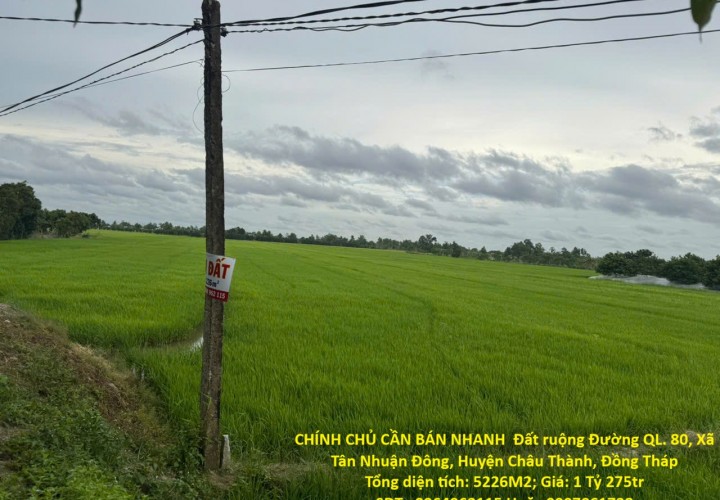 CHÍNH CHỦ CẦN BÁN NHANH  Đất ruộng Tân Nhuận Đông Châu Thành Đồng Tháp