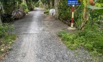 CHÍNH CHỦ CẦN BÁN NHANH  Đất ruộng Tân Nhuận Đông Châu Thành Đồng Tháp