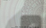 CƠ HỘI ĐẦU TƯ SINH LỜI - Chính Chủ Bán Lô Đất Xã Long Mỹ, Đất Đỏ, Bà Rịa Vũng Tàu