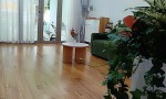 GIÁ TỐT - CHÍNH CHỦ Cần Bán Nhanh Căn Shophouse Mặt Tiền Đường Dương Quang Đông