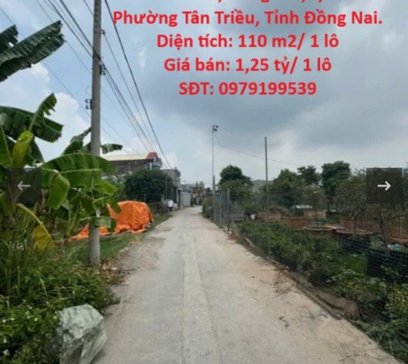 Chính Chủ Cần Bán GẤP 2 Lô Đất Hẻm 847 Đường Đồng Khởi, Phường Tân Phong( cũ ) TP. Biên Hòa, Đồng Nai