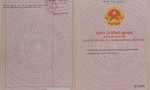 HOT HOT – CHÍNH CHỦ CẦN BÁN ĐẤT THỔ VƯỜN TẠI X. Tân Mỹ, H. Đức Hòa, T. Long An