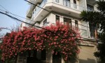 CHÍNH CHỦ CẦN Bán hoặc cho thuê Căn Nhà Góc 2 Mặt Tiền 1 Trệt 2 Lầu gần trục Hỳnh Tấn Phát, Nhà Bè sát bên Quận 7 (cũ).
