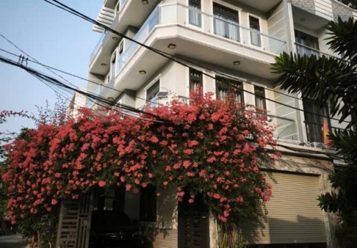 CHÍNH CHỦ CẦN Bán hoặc cho thuê Căn Nhà Góc 2 Mặt Tiền 1 Trệt 2 Lầu gần trục Hỳnh Tấn Phát, Nhà Bè sát bên Quận 7 (cũ).