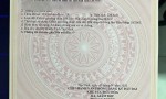 ĐẦU TƯ SINH LỜI – CHÍNH CHỦ CẦN BÁN ĐẤT Tại Xã Mỹ Hạnh Nam, Huyện Đức Hòa, Long An