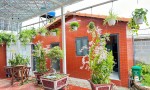 NHÀ ĐẸP–GIÁ TỐT–CHÍNH CHỦ Cần Bán Nhanh Căn Nhà Gỗ Xã Mỹ Lộc, Huyện Cần Giuộc, Long An.