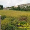 ĐẤT ĐẸP - GIÁ TỐT - CHÍNH CHỦ BÁN SIÊU PHẨM ĐẤT TẠI Liên Đầm, Di Linh, Lâm Đồng