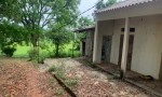 Chính Chủ Bán 240m2 CLN Ngọc Nhị, bao sang tên, sổ chính chủ Xã Cẩm Lĩnh, Ba Vì, Hà Nội