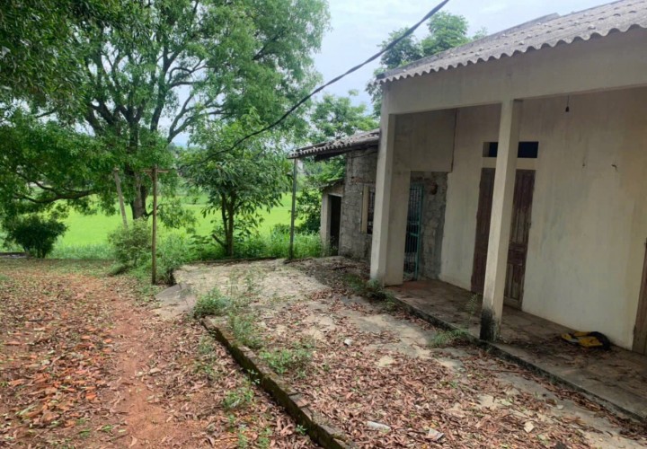 Chính Chủ Bán 240m2 CLN Ngọc Nhị, bao sang tên, sổ chính chủ Xã Cẩm Lĩnh, Ba Vì, Hà Nội
