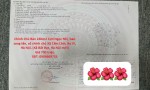 Chính Chủ Bán 240m2 CLN Ngọc Nhị, bao sang tên, sổ chính chủ Xã Cẩm Lĩnh, Ba Vì, Hà Nội